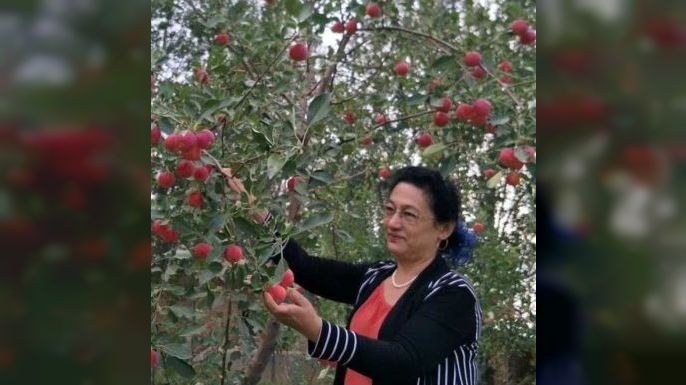 ABD-Çin görüşmelerinde öncelikli başlıklardan biri Uygur doktor Gülşen Abbas'ın 'Serbest bırakılması' olmalı