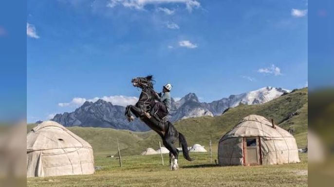 Atın Gizli Tarihi: Bozkırlardan Dünya Sahnesine