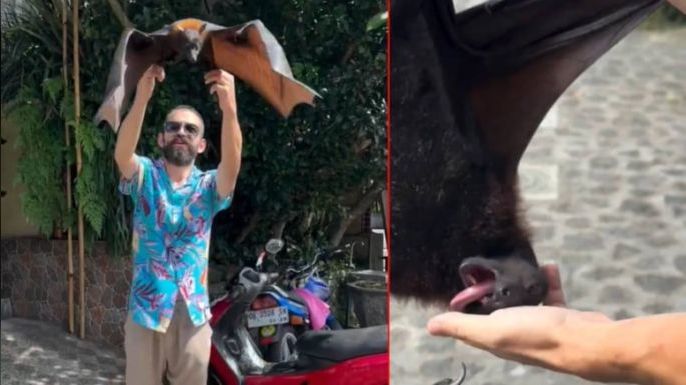 Türk YouTuber'ı Yarasa Isırdı