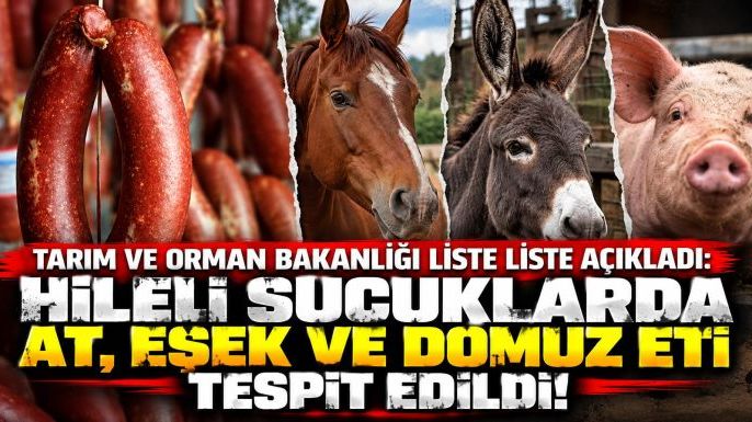 Tarım ve Orman Bakanlığı Liste Liste Açıkladı: Hileli Sucuklarda At, Eşek ve Domuz Eti Tespit Edildi!