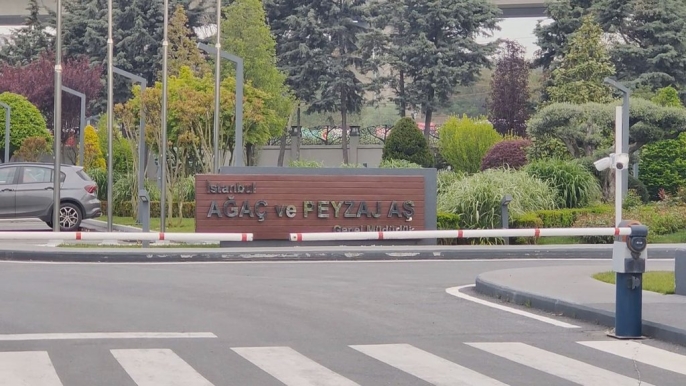 İBB yolsuzluk soruşturması genişliyor: Ağaç ve Peyzaj A.Ş. operasyonunda bir isim daha yakalandı 2