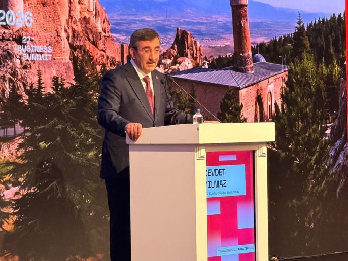 Yılmaz: Ekonominin 2029\