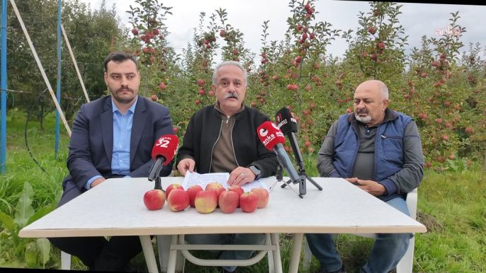 Isparta elma üreticisi, 3 liraya alıcı bulamadığını söylüyor 3