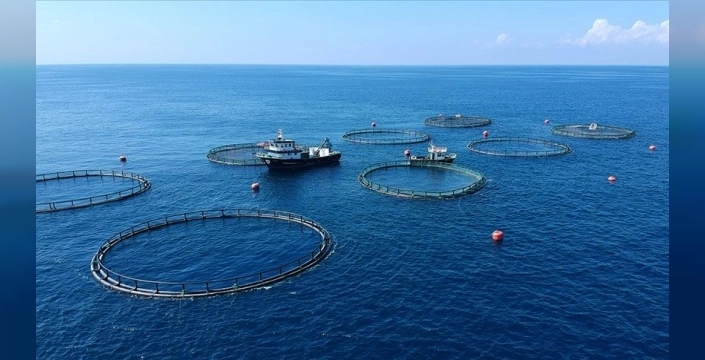 Doğu Karadeniz'den 117 milyon dolarlık su ürünü ihracatı