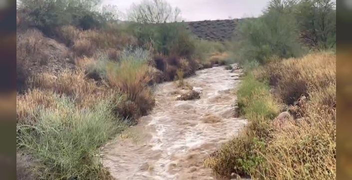 Arizona'da sel felaketi: 4 kişi hayatını kaybetti