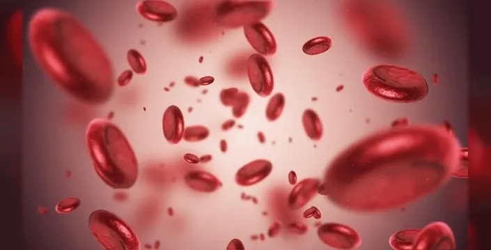 Demir eksikliği bağışıklık sistemini zayıflatıyor