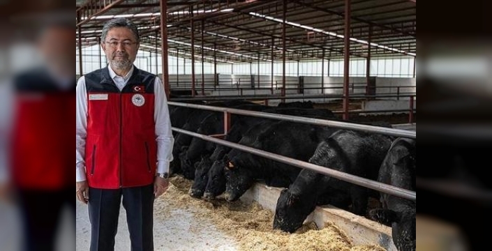 Hayvancılıkta büyük artış: Büyükbaş hayvan varlığı yüzde 3,65 arttı