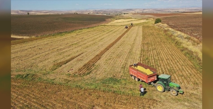 Tarım ve Orman Bakanlığı: 2026 üretim yılı için destek katsayıları açıklandı