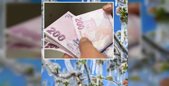 Tekirdağ'da 771 çiftçiye 46 milyon lira zirai don desteği