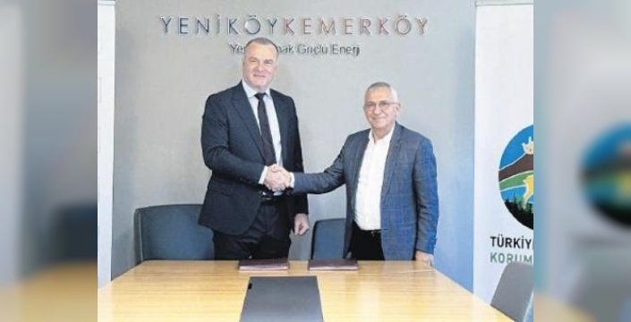 TTKD, Yeniköy Kemerköy Enerji ile iş birliği: Zeytin ağaçlarının yeni yerlerindeki durumu raporlayacak