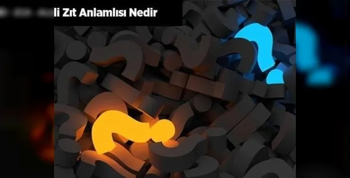 Yerli kelimesinin zıt anlamları: yabancı ve ecnebi