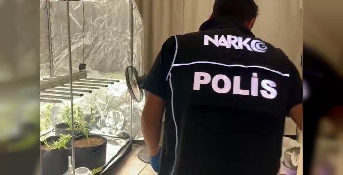 Adana'da apartman dairesinde özel sera: Hint keneviri yetiştiricisi yakalandı