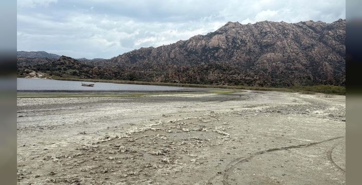 Bafa Gölü'ne umut: Büyük Menderes Nehri su getiriyor