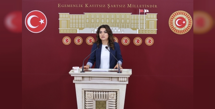 DEM Parti'li Koçyiğit: Irak, Suriye ve Lübnan tezkerelerine 'hayır' oyu vereceğiz