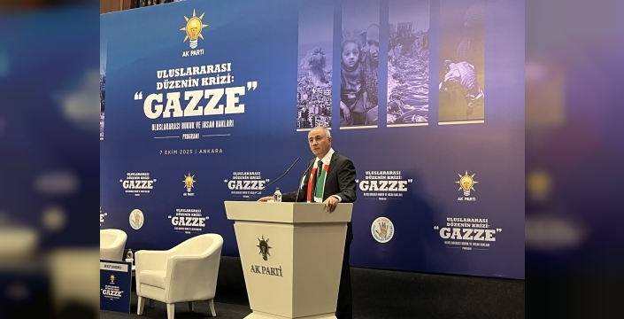 Efkan Ala: Gazze'nin sesi Erdoğan'dır