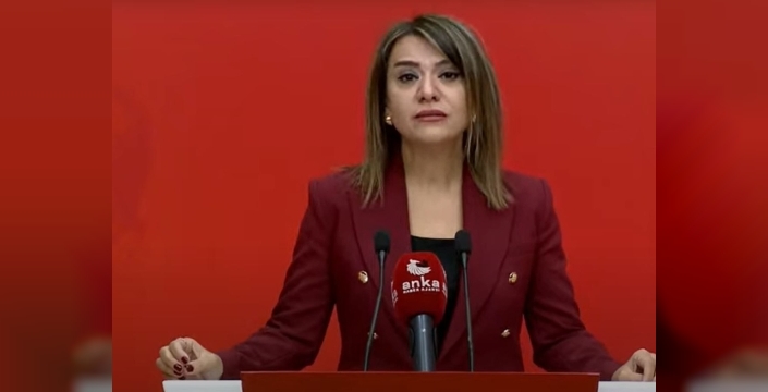 Gamze Taşcıer: Sayıştay raporları 'pembe raporlar' haline geldi