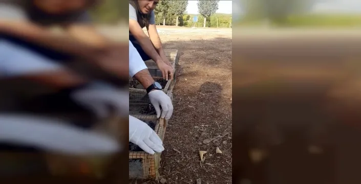 Kahramanmaraşta yasa dışı avlanan saka kuşları doğaya geri salındı