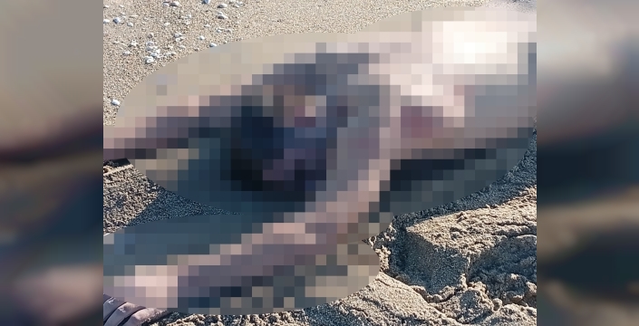 Karasu'da kumsalda çıplak erkek cesedi bulundu