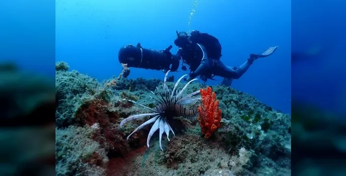 Kuşadası'nın mavi derinlikleri dalış tutkunlarını cezbediyor