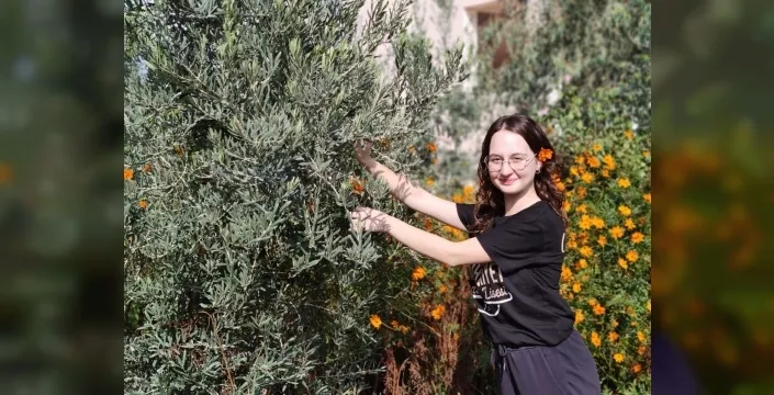 Lise öğrencileri zeytin hasadıyla doğayı keşfediyor