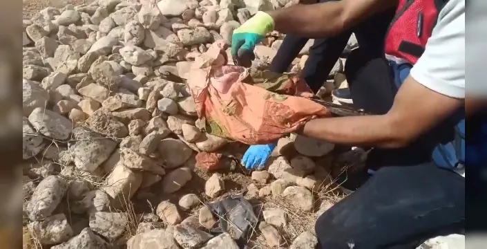 Şanlıurfa'da mısır tarlasında silah ve uyuşturucu operasyonu: 12 gözaltı