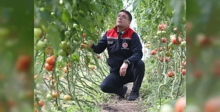 Selim'de ziraat mühendislerinden seracılıkta örnek proje