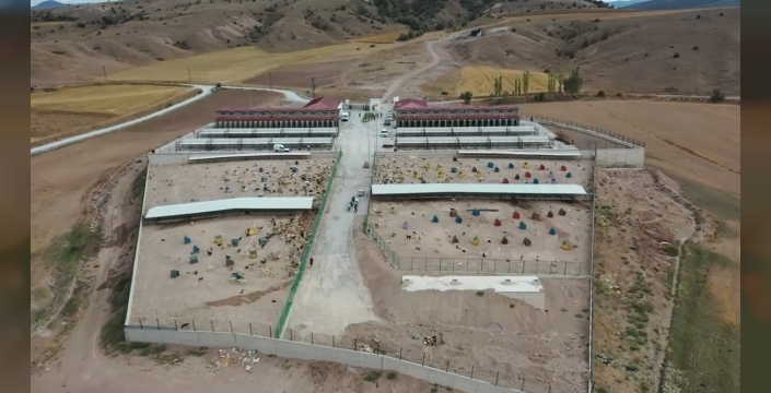 Tokat'ta sahipsiz hayvanlar bakım ve rehabilitasyon merkezi inşaatı tamamlandı