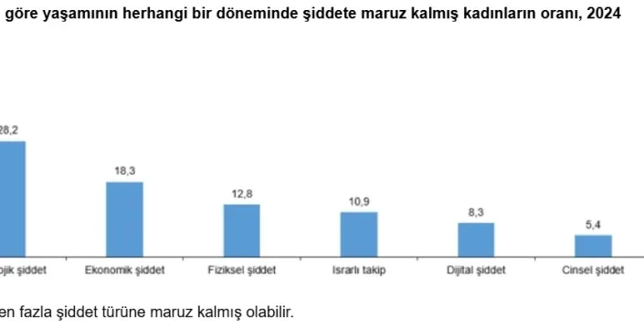 Türkiye'de Kadına Yönelik Şiddet Araştırması: Yüzde 28,2'si Psikolojik Şiddete Uğradı