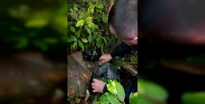 Yakakent'te ormana kurulan düzenekle kaçak avcılık yapan şüpheli gözaltına alındı