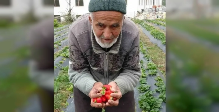 85'lik İbrahim dede'den aşka vefâ: Eşinin anısına açtığı ücretsiz bahçe sosyal medyayı fethetti!