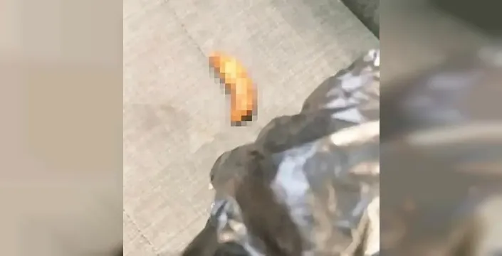 Chp İstanbul İl Başkanlığı'nda şok tepki: Makam odasına yapılan saygısızlık bardağı taşırdı!