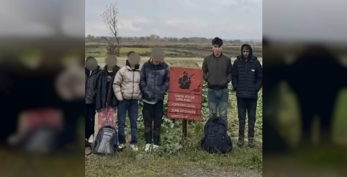 Edirne'de göçmen operasyonu: 29 düzensiz göçmen yakalandı!