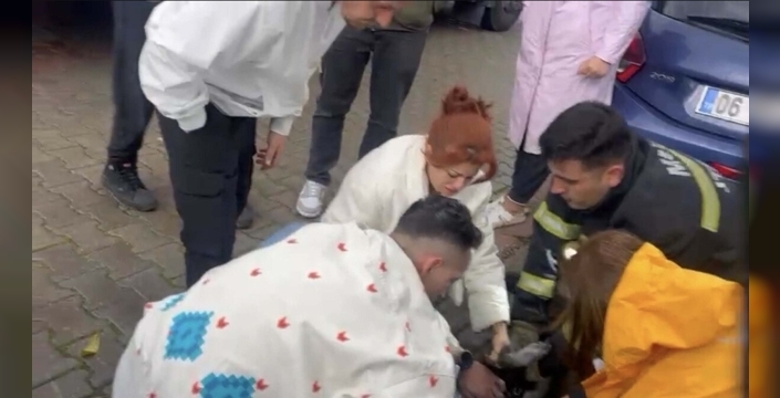 Fethiye'de dram: Ev yangınında bir köpek hayatını kaybetti, diğeri kalp masajıyla kurtarıldı!