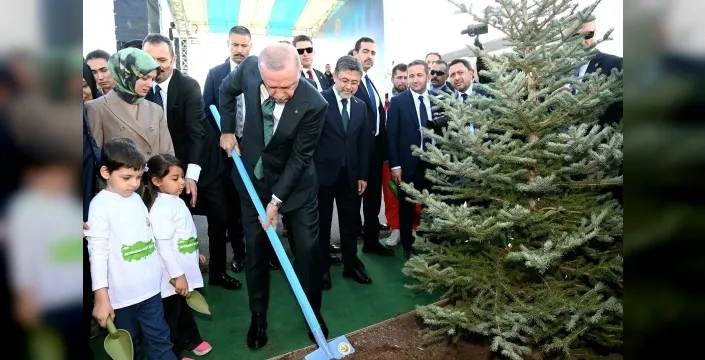 Milyonlarca fidan toprakla buluştu: Cumhuriyet tarihi rekoru!