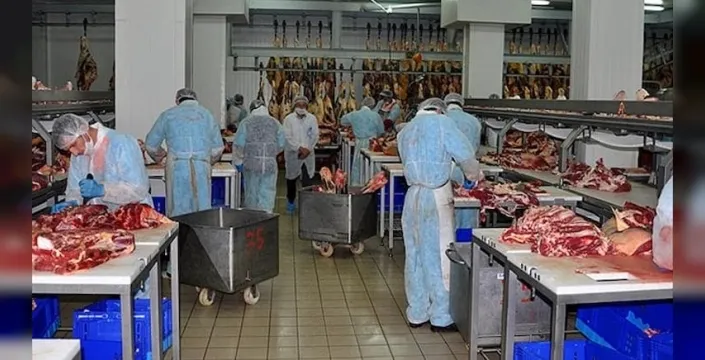Et ve Süt Kurumu'ndaki yolsuzluk ağı ortaya çıktı