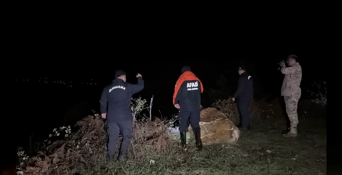 Bartın'da defne yaprağı toplamaya giden 78 yaşındaki Zehra Günay kayıp, 70 kişilik ekip arama çalışması başlattı