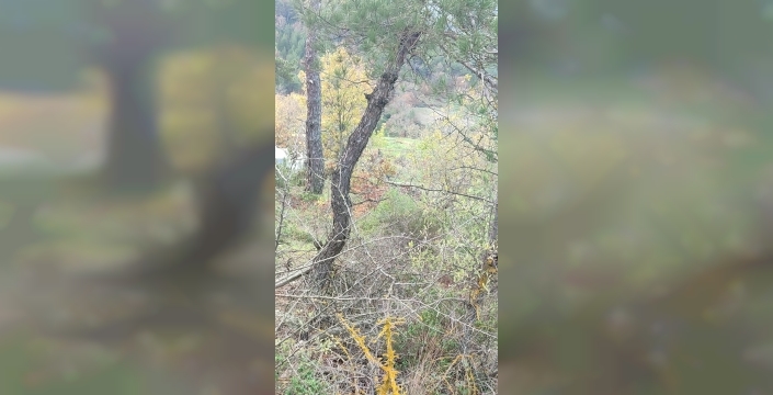 Çanakkale'de kaybolan yaşlı kadın, havuzda ölü bulundu