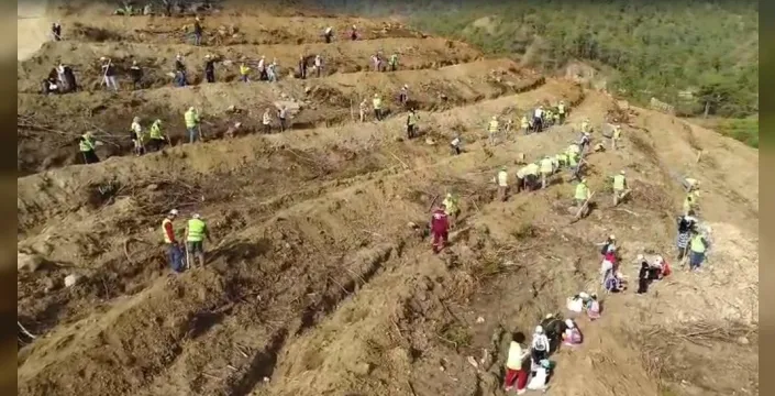 Dalaman'da yanan ormanlar 6 yılda yeniden yeşerdi, 450 bin fidan toprakla buluştu