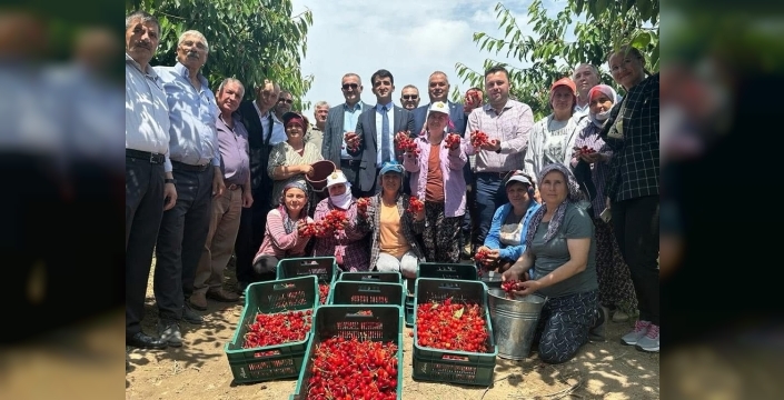 Edirne'nin gururu Çeribaşı kirazı artık coğrafi işaretli bir marka