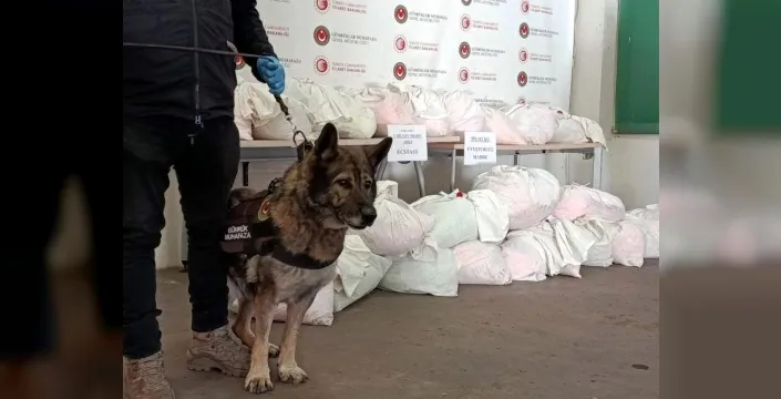 Kapıkule'de nefes kesen operasyon: Dedektör köpek 'Bodri' 591 kiloluk uyuşturucu vurgununu ortaya çıkardı!