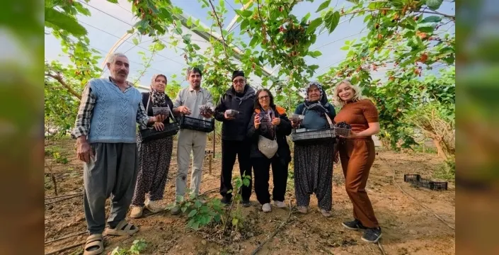 Karadut hasadı, üreticilerin yüzünü güldürüyor