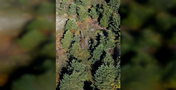 Kastamonu'da dron ve fotokapanla avcı takibi: 4 kişiye işlem, 3 tüfeğe el konuldu
