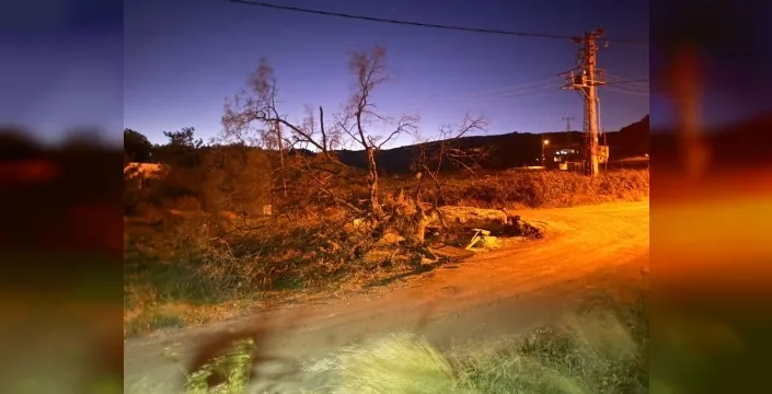 Mersin'de şiddetli rüzgar asırlık meşeyi devirdi, evin çatısını uçurdu