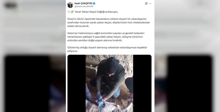 Sivas'ta kurtarılan yaban keçisi yeniden doğaya salındı