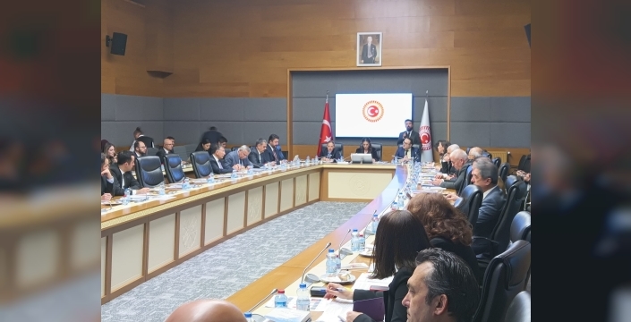 TBMM'de engelli hakları masaya yatırıldı: 'Sadece maddi destek yetmiyor, hayata dokunmak gerekiyor
