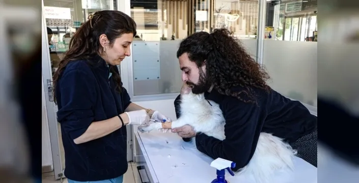 Adana'da hayvan hastaneleri 24 saat üst düzey ekipmanlarla hizmet veriyor