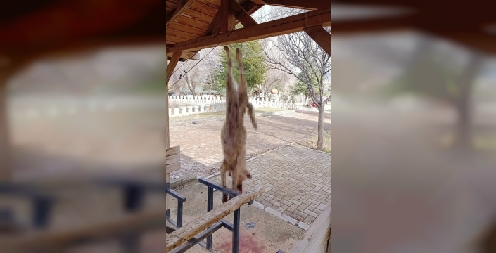 Afyonkarahisar'da köpek ayaklarından asılarak işkenceyle öldürüldü
