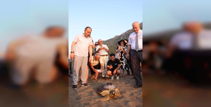 Ampute yüzgeci ile denizlere açılan Atlas, 4 bin 956 kilometreyi geride bıraktı