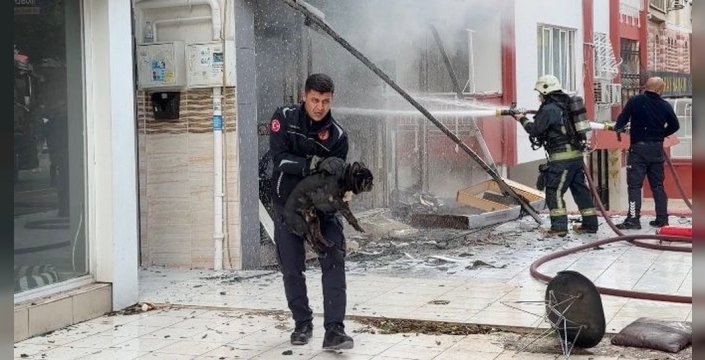 Antalya'da yürekleri ısıtan kurtuluş: İtfaiyeciler alevlerden 4 köpeği kurtardı, 2 kişi yaralandı
