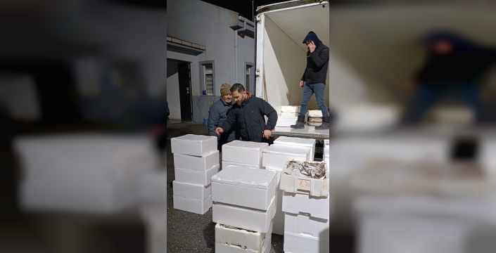 Bafra'da dev operasyon: Yasal boyun altında 2,6 ton mezgite el konuldu, kamuya bağışlandı